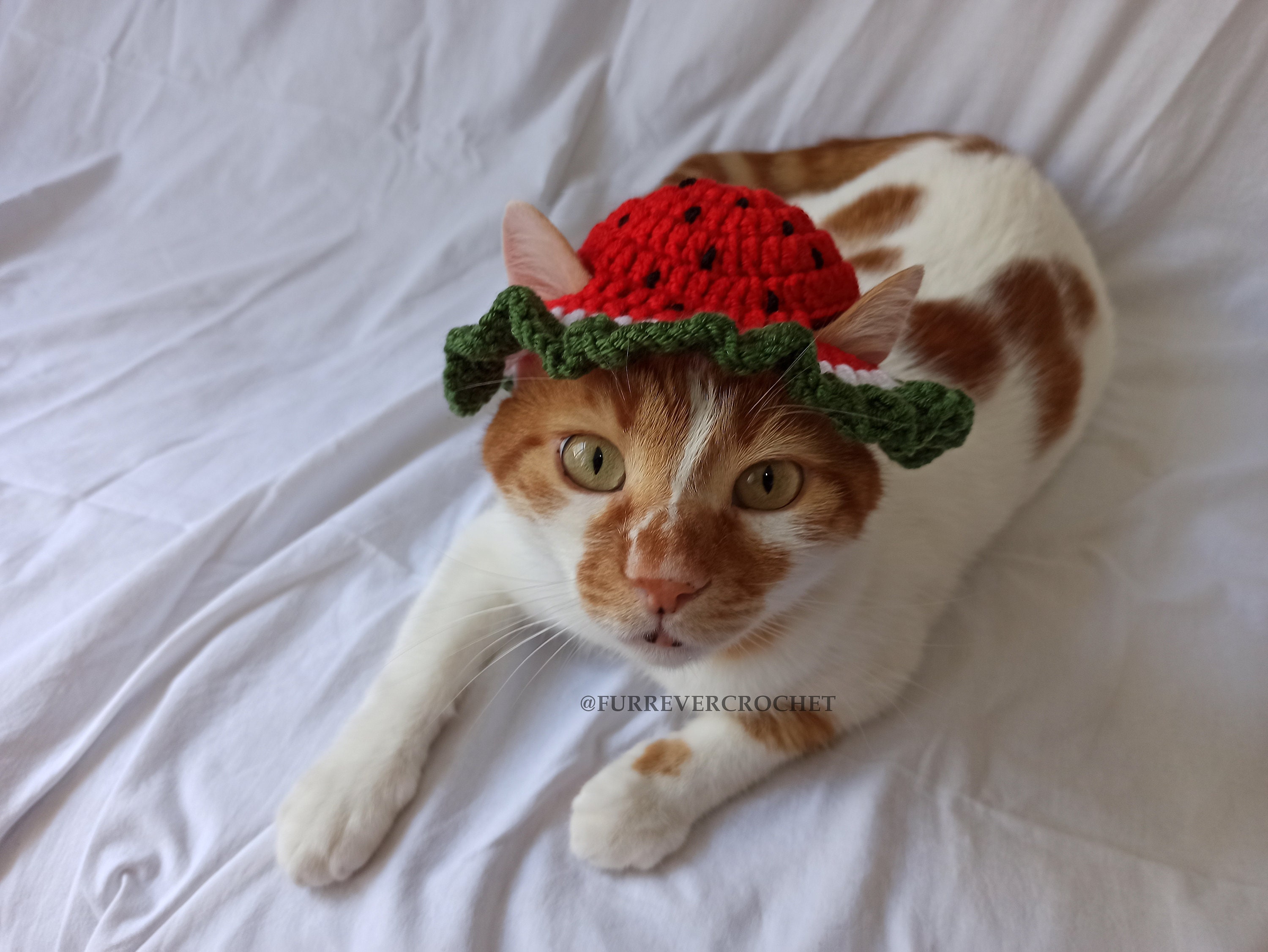 Watermelon Cat Ears - Etsy