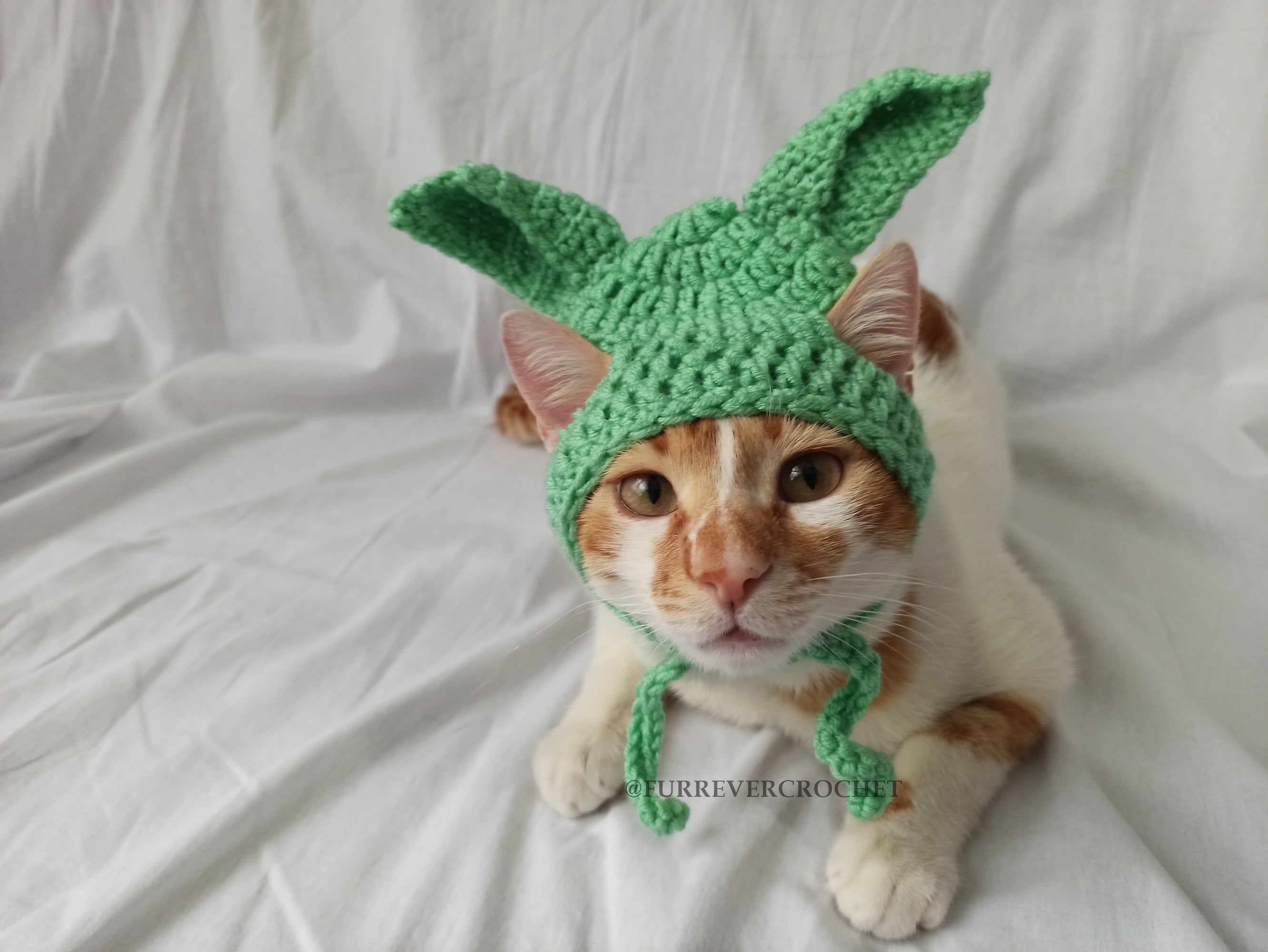 Baby Yoda Hat for Cats and Dogs Crochet Cute and Fun Pet -  Hong Kong