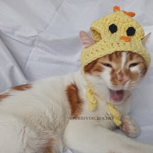 Chick Hat for Cats and Dogs with Ear Holes, Cute and Fun Pet Accessories for Easter, Easter Gift for Pet Parents