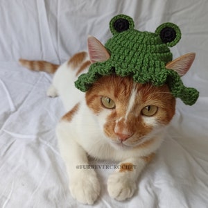 Minimal Frog Bucket Hat for Cats and Dogs, Crochet Hat with Ear Holes, Green Frog Pet Accessories, Gift for Cat Mom, Dog Lovers Gift