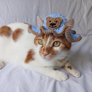 Bär Design Katzen- und Hundeeimer-Hut, blaue und braune Farbe Haustier-Hut, gehäkelter Katzen-Hut mit Ohrlöchern, niedliches und lustiges Zubehör, Geschenk für Haustiere