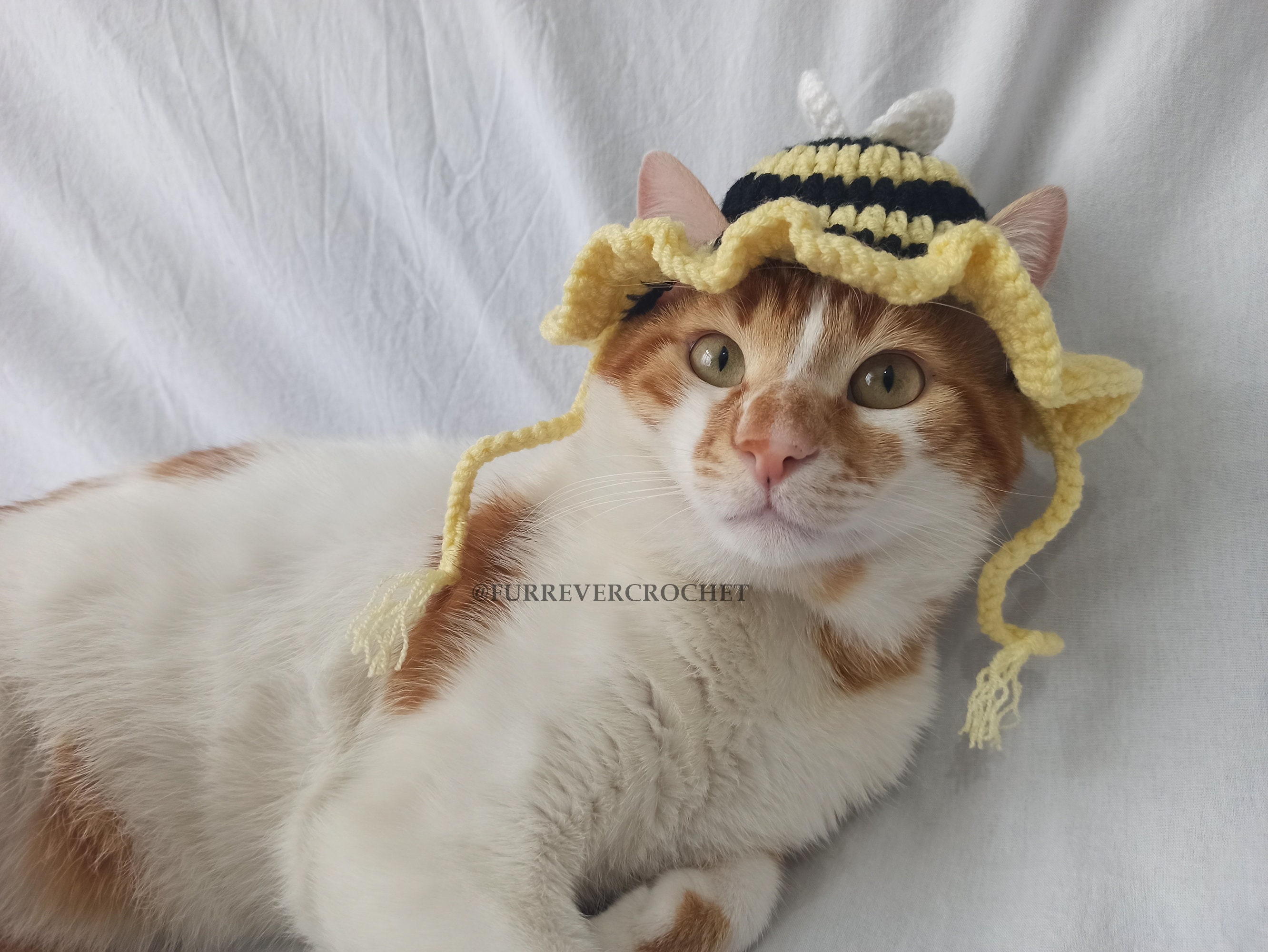 Furry Bee Emblem Wrap Tie Hat Bee Hat | Distressed Baseball Cap OR Ponytail Hat  main image 4