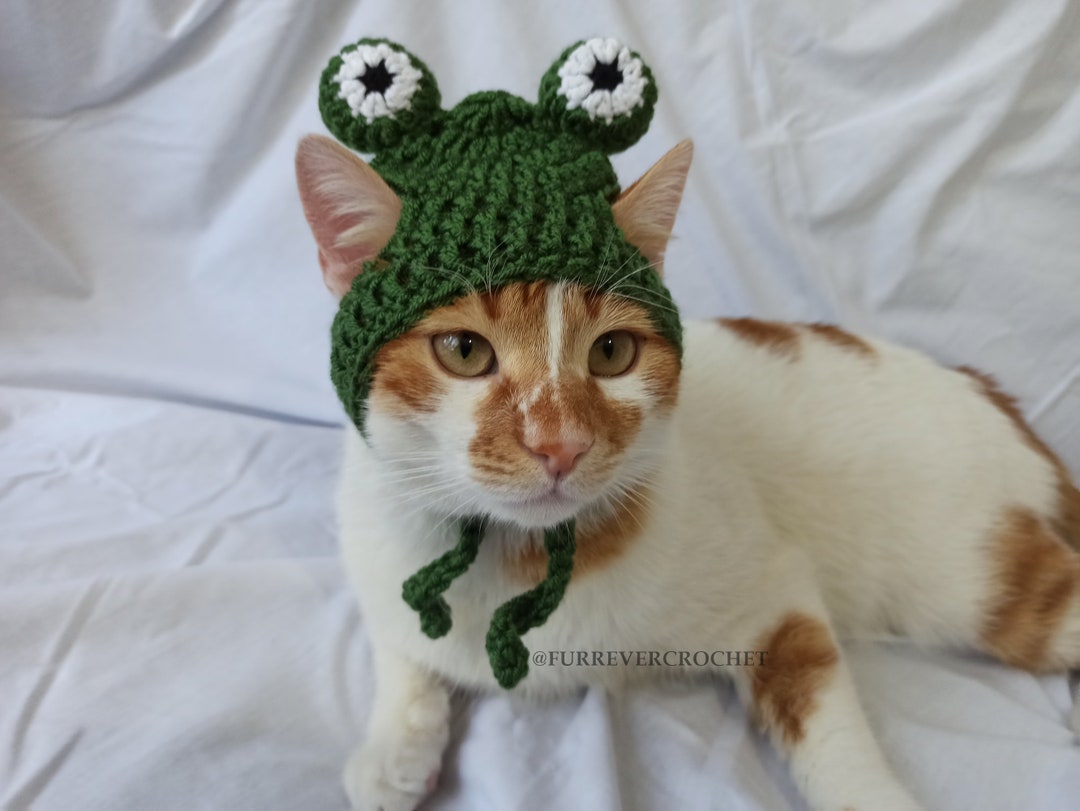 Frog Hat for Cats and Dogs, Crochet Beanie With Ear Holes for Pets, Fun