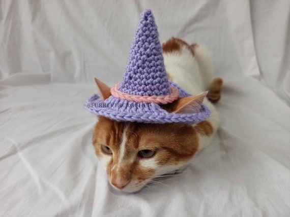 Purple Wizard Cat Hat Wizard Hat for Cat Wizard Hat for 