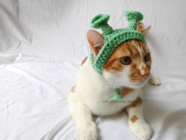 Shrek Inspired Bandana for Cats and Dogs Ogre Hat Green Ears Etsy