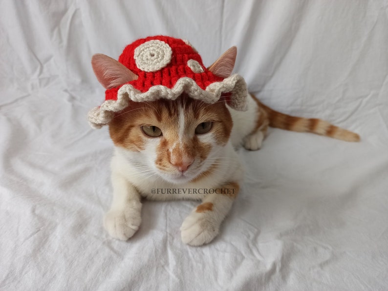 Mushroom Cat and Dog Crochet Bucket Hat, Red Color with Beige Dots On It, Pet Parents Gifts image 2