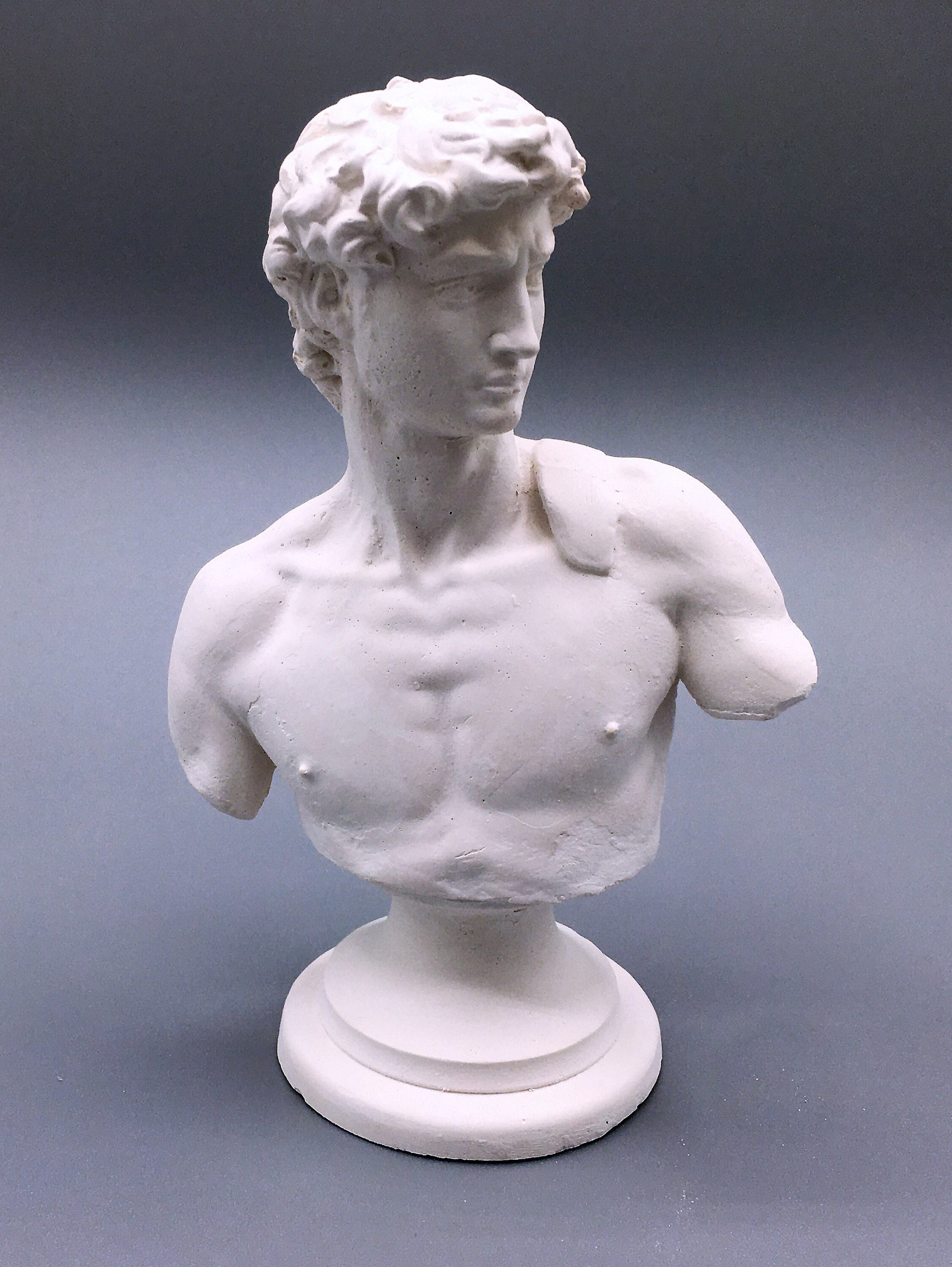 Sculpture Du David de Michel-Ange - Statue Blanche Gréco-Romaine Classique, Buste Classique en Plâtr