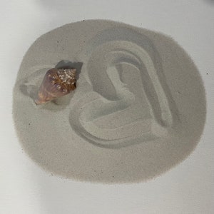 Sabbia Clearwater Beach Florida Natural Sand - Florida Sand - 16 oz, arredamento per la casa, sabbia per decorazioni, progetto artistico, sabbia Clearwater