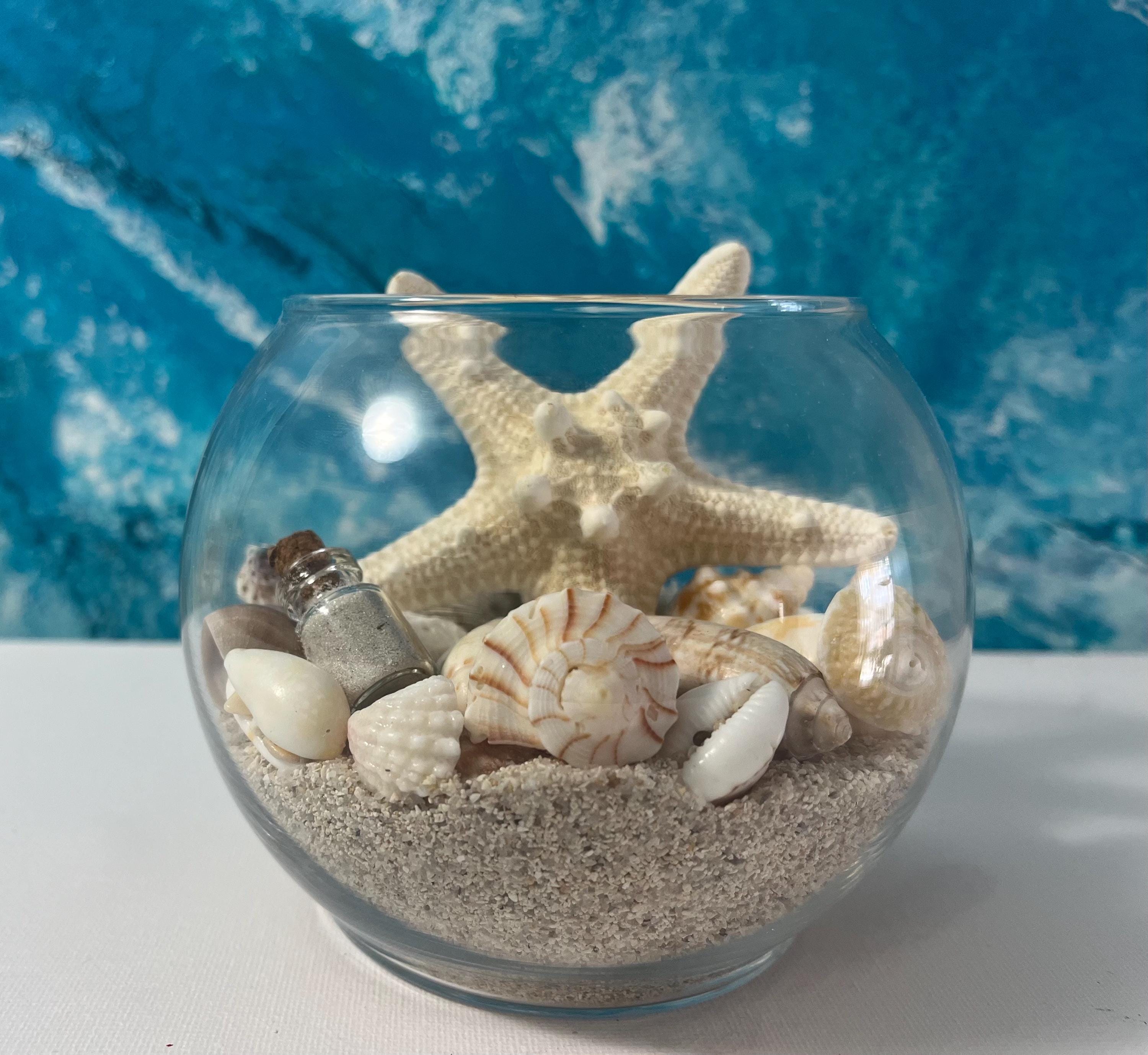 Set 12 Stelle Marine Naturali 5-15 Cm - Per Decorazioni Beach Party E DIY - Foto 2