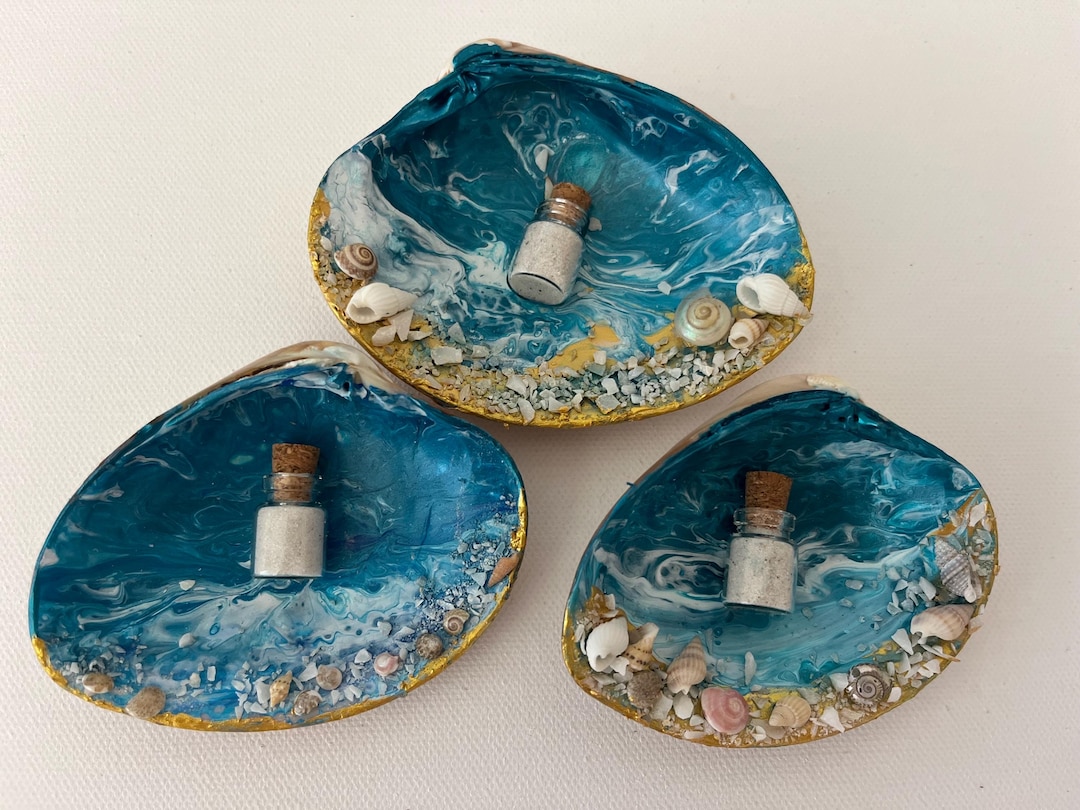 Natural Seashells Decor Seashells Souvenirs Ocean Seashells Gifts Decor ...