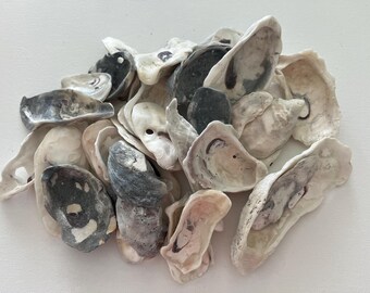 Natural Oyster Shells: Coastal Craft & Beach Decor, Shells candles