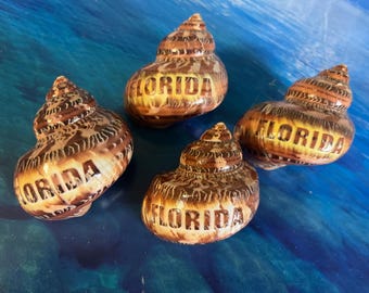 Engraved Florida Seashell Souvenirs: Coastal Decor, Set of 4