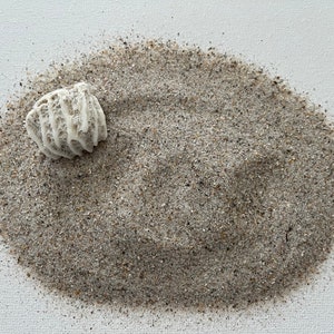 Könnte beinhalten: Nahaufnahme eines kleinen, weißen, strukturierten Korallenfragments, das auf einem Haufen feinen, hellfarbigen Sandes liegt. Der Sand ist eine Mischung aus Beige- und Grautönen und erzeugt eine natürliche, strandähnliche Ästhetik. Der Hintergrund ist eine weiße Oberfläche.