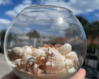 Cuore Di Mare Conchiglie Sulla Spiaggia. Estate Amore O Romanticismo Tema Con Sabbia E Conchiglie Image178820449
