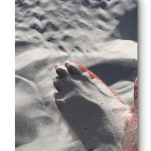 Marco Island Beach Sand – 16 oz Sabbia naturale da spiaggia per decorazioni, progetti artistici, artigianato, conchiglie, souvenir marini