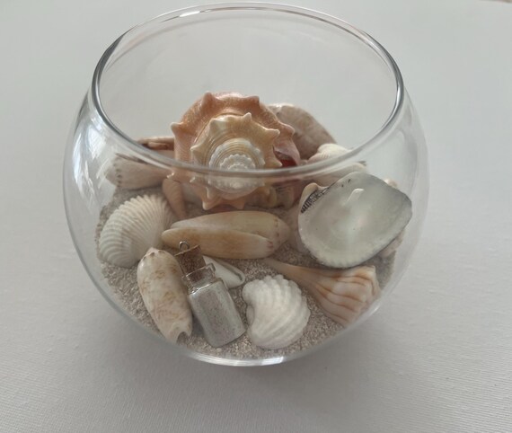 1500 Pezzi Conchiglie Naturali Miste - Decorazione Spiaggia, Matrimoni, Fai Da Te - Foto 4