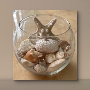Vaso decorazione casa Marco Island sabbia Spiaggia Vaso conchiglia Souvenir con conchiglie da spiaggia Conchiglie della Florida, decorazione interni