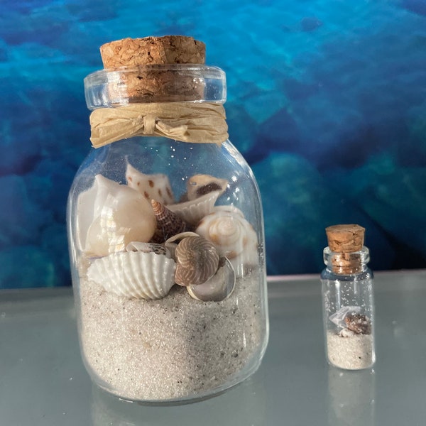 Ocean shells. 2 glass bottles with Florida sand and seashells. Shells in a bottle. Beach shells. Home decor. Souvenir, ocean decor, seashell