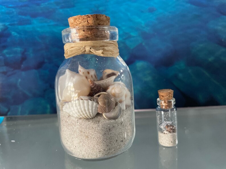 Ocean Shells. 2 Glass Bottles With Shells. Shells in a Bottle. Etsy