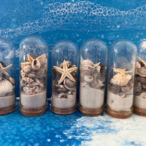 Set di 6 bottiglie di vetro con conchiglie decorative con sabbia da spiaggia Siesta Key e conchiglie Florida bomboniere per matrimoni, decorazioni per la casa, regalo per la spiaggia