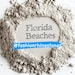 Florida Beaches