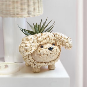 May include: A beige woven dog-shaped planter with a small succulent plant. The dog planter has a round body, floppy ears, and a black nose. The planter is sitting on a white surface.