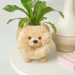 May include: A tan-colored, dog-shaped planter with a fluffy texture, holding a green plant. The planter has brown eyes and a black nose. It sits on a white table, with a white vase and pink chalk nearby.