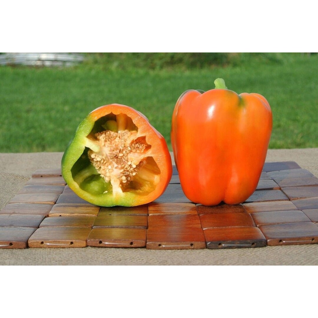 Garfield Hybrid Bell Pepper Seeds Etsy