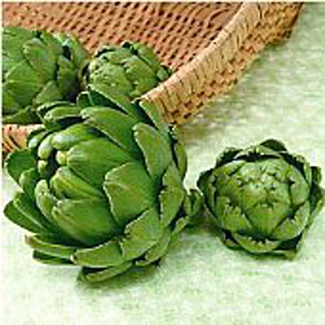 Imperial Star Artichokes Seeds Etsy