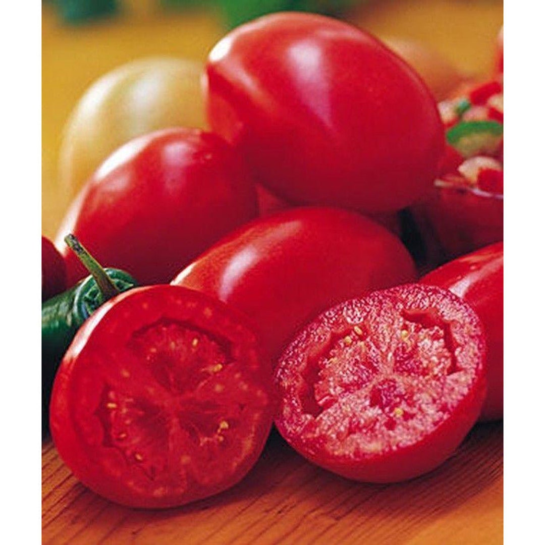 Fresh Salsa Hybrid Tomato Seeds Etsy
