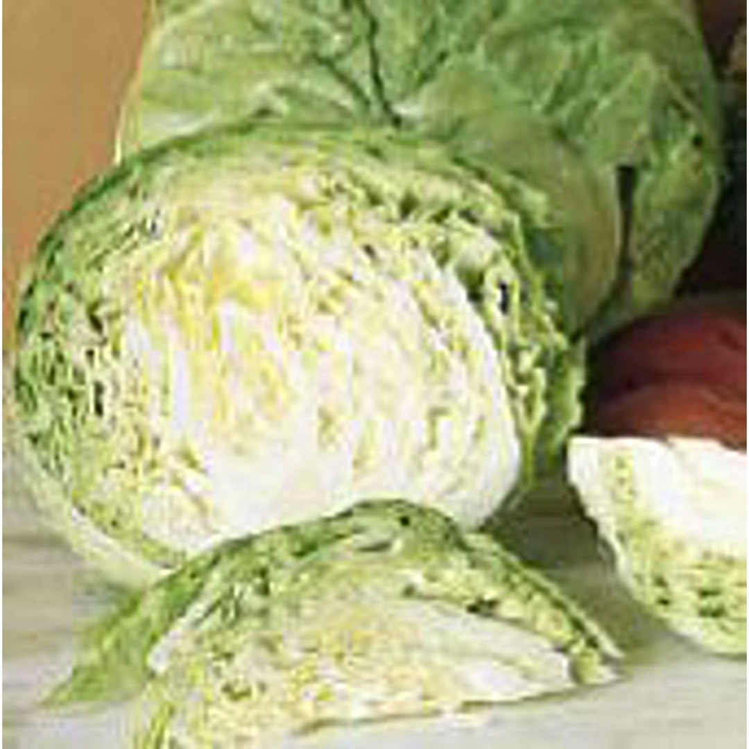 Earliana Cabbage Seeds Etsy