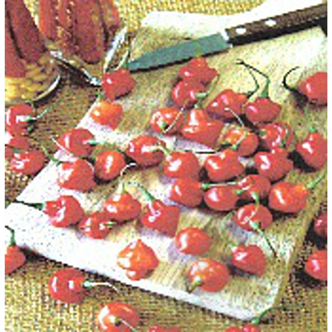 Spinning Red Top Hot Peppers Seeds Etsy