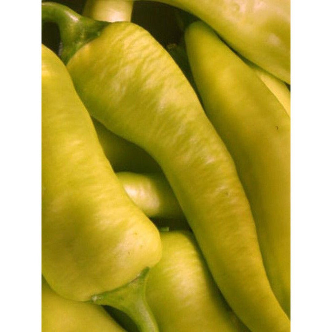 Hungarian Yellow Wax Pepper Seeds Etsy