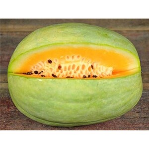 Desert King Watermelon Seeds