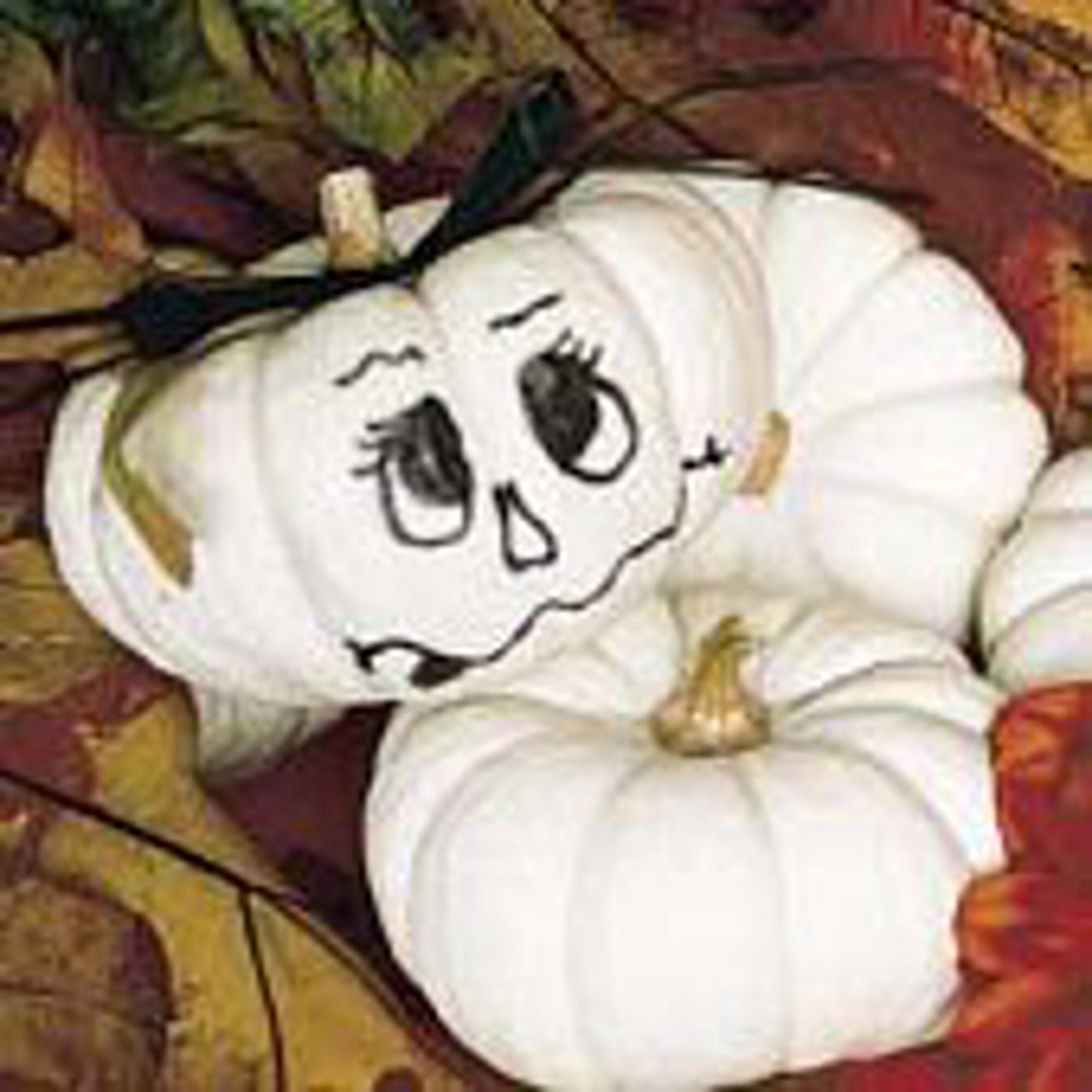 Baby Boo Pumpkins Seeds Etsy how-to-make-oven-baked-baby-back-ribs-youtube