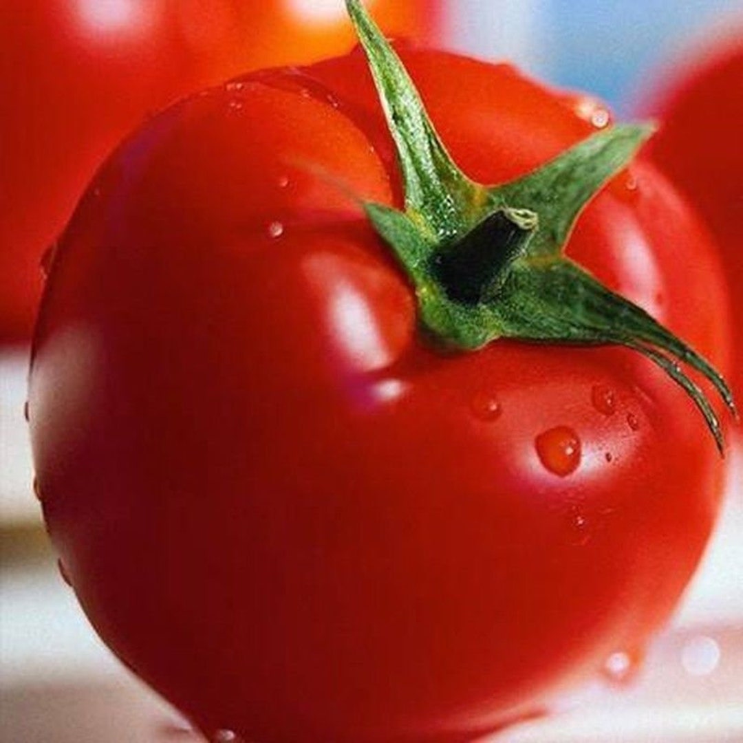 Alicante Tomato Seeds Etsy