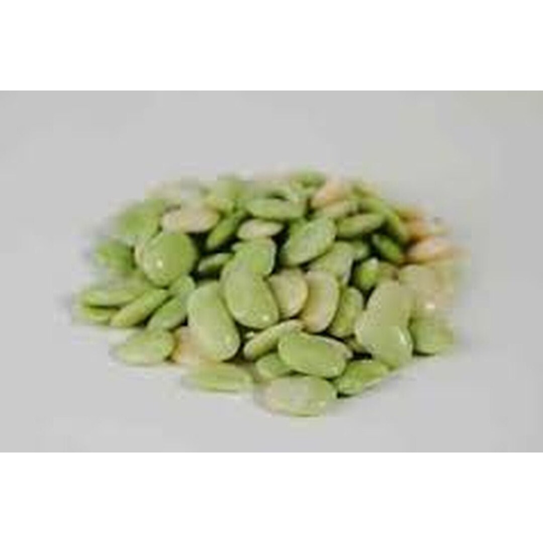 Bridgeton Baby Lima Bean Seeds Etsy