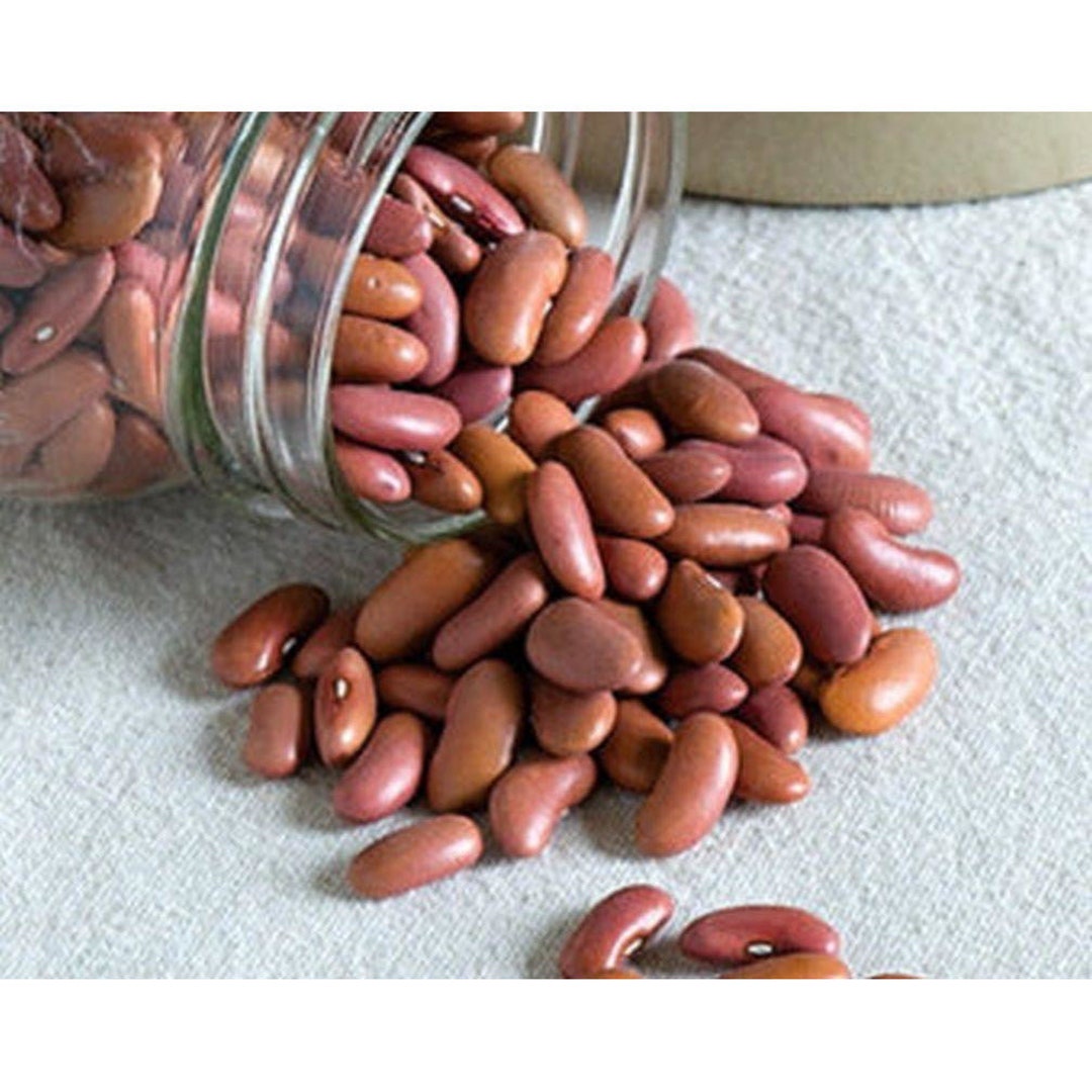 Light Red Kidney Bean Seeds Etsy