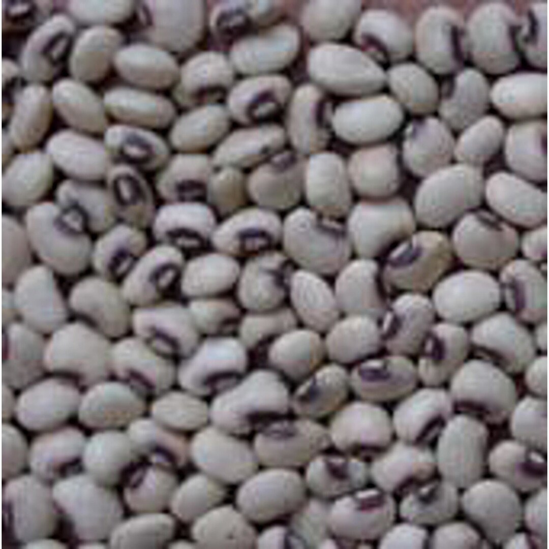 Pinkeye Purple Hull BVR Cowpeas Seeds Etsy