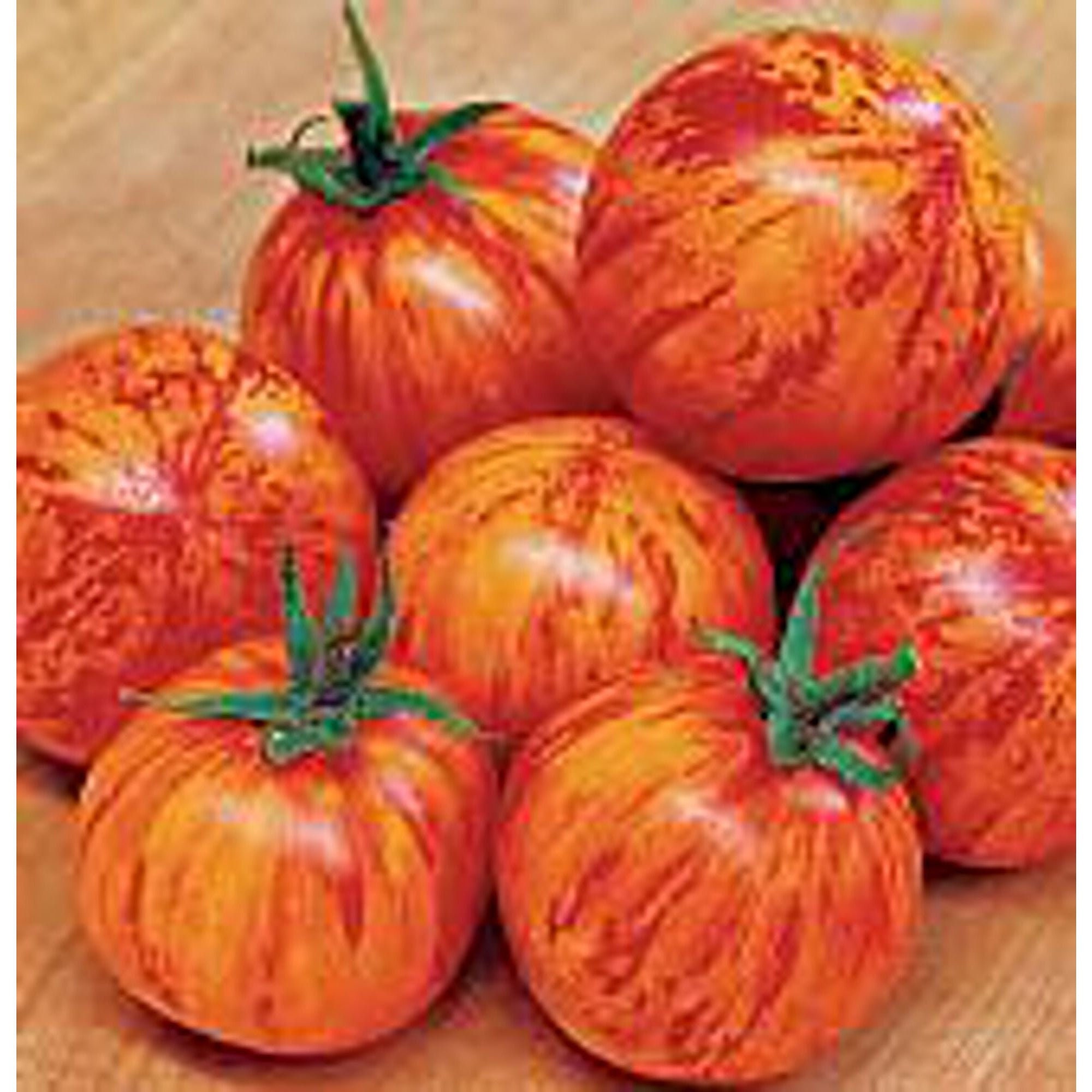 Red Zebra Tomato Seeds Etsy