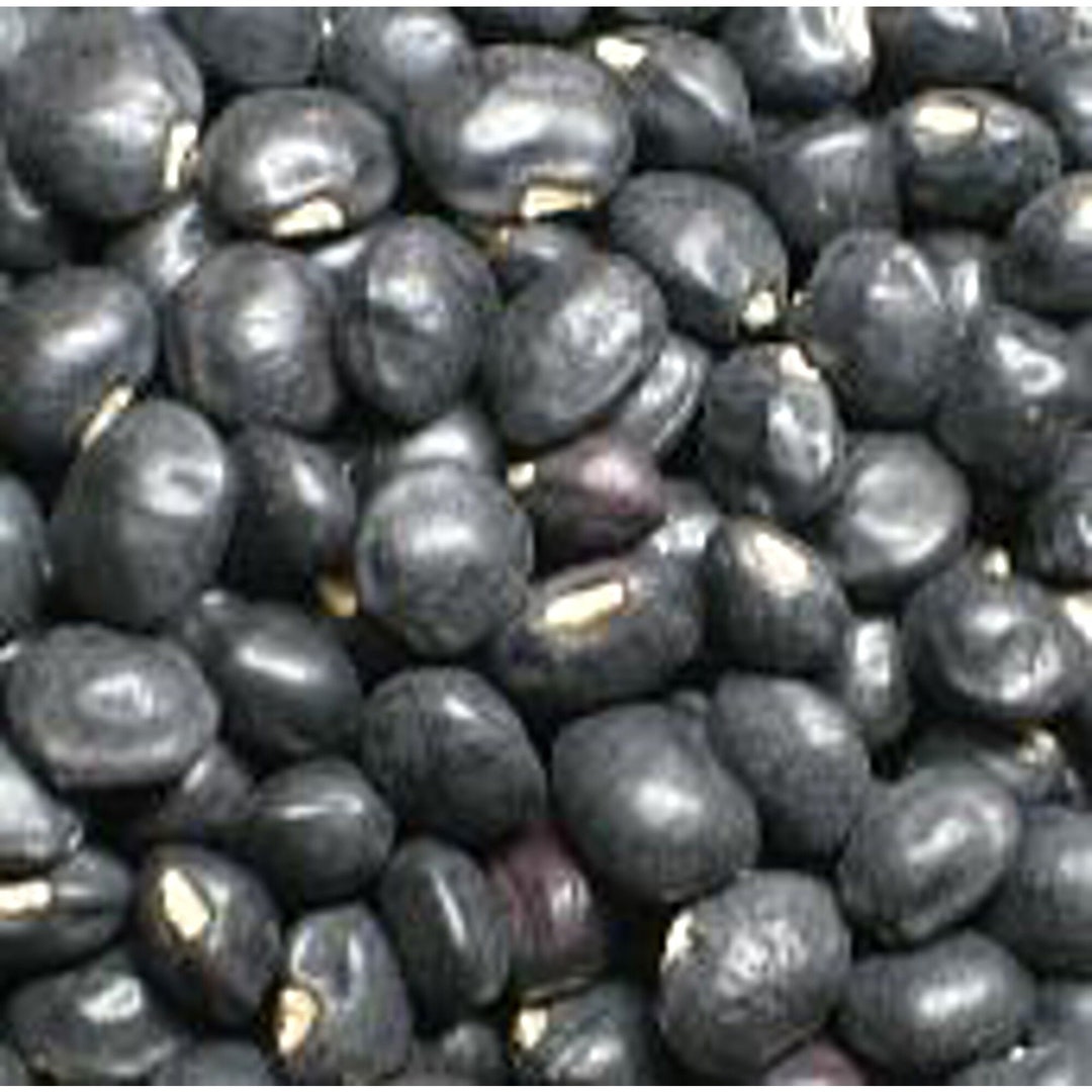 Black Crowder Cowpeas Seeds Etsy