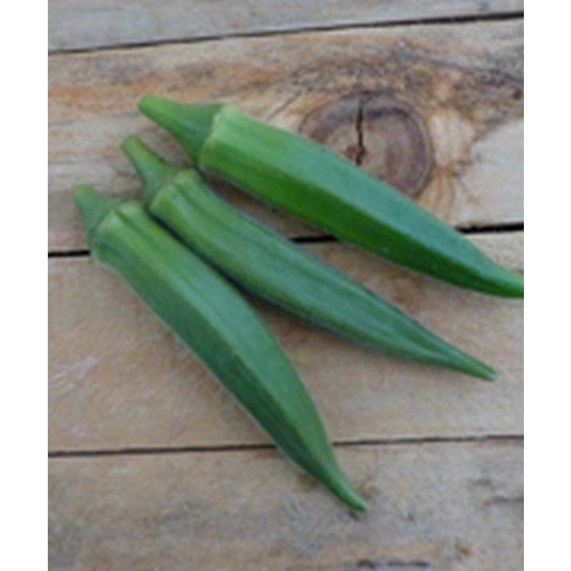 Zarah Hybrid Okra Seeds Etsy