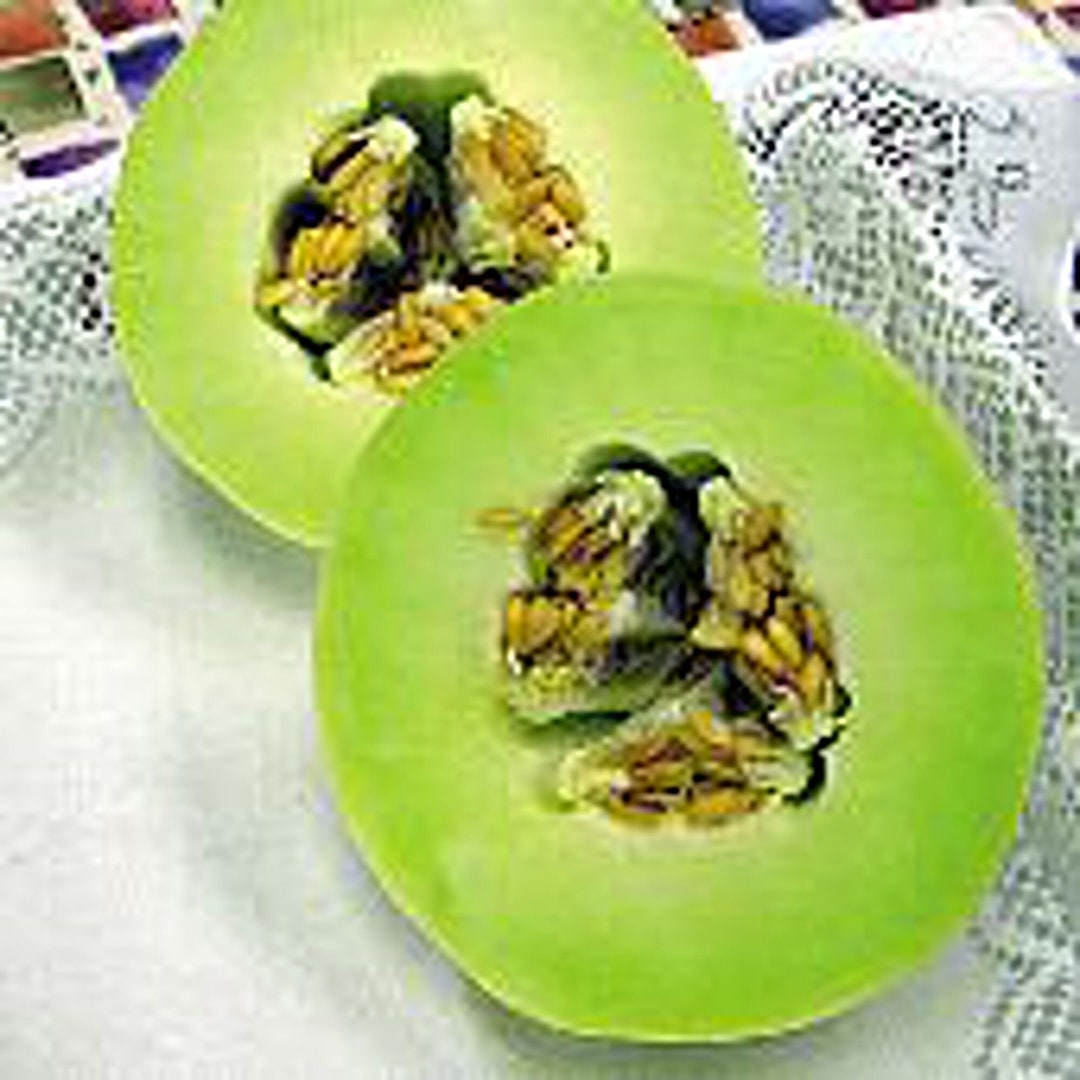 Honey Dew Melons green Seeds Etsy