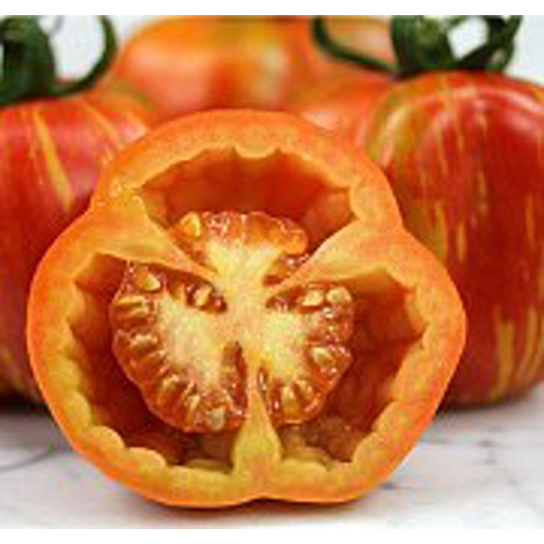 Striped Cavern Tomato Seeds Etsy