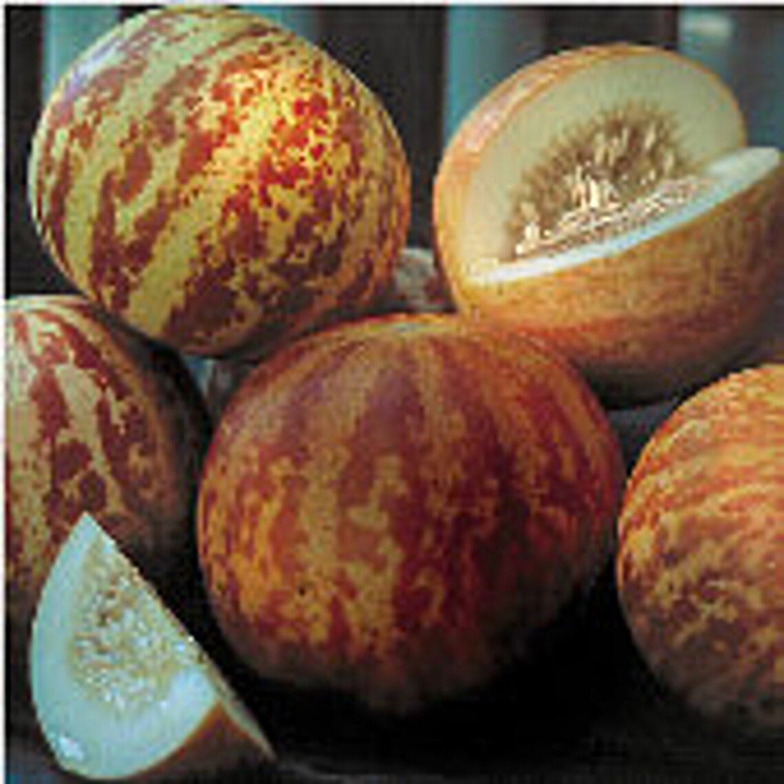 Ambassador | Mixed Specialty | Melons | Products | Vegetables | Rupp Seeds