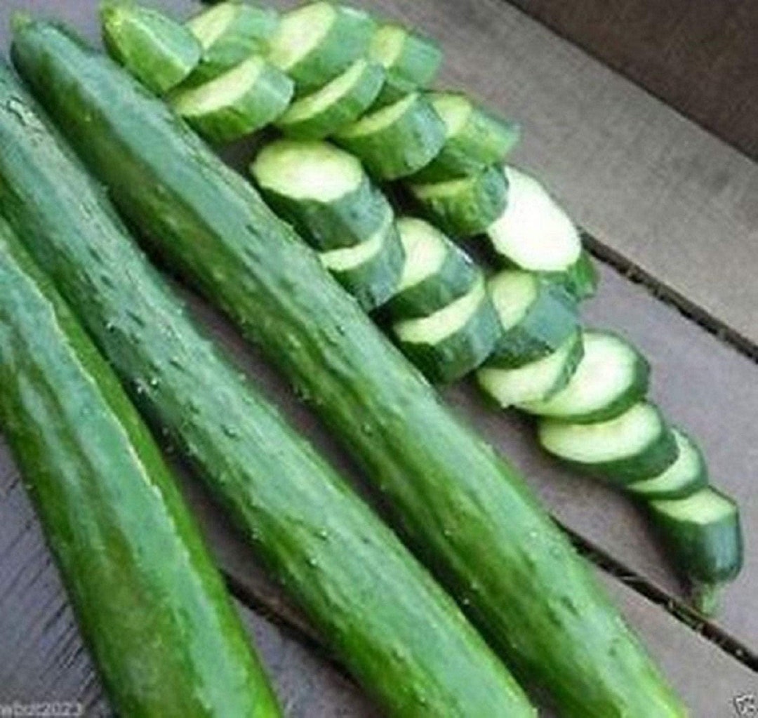 Japanese Long Burpless Cucumber Seeds Sooyow Nishiki Green Nongmo 25