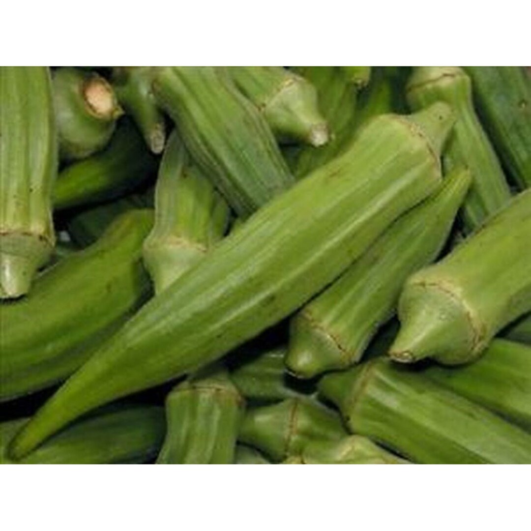 Jade Okra Seeds Etsy
