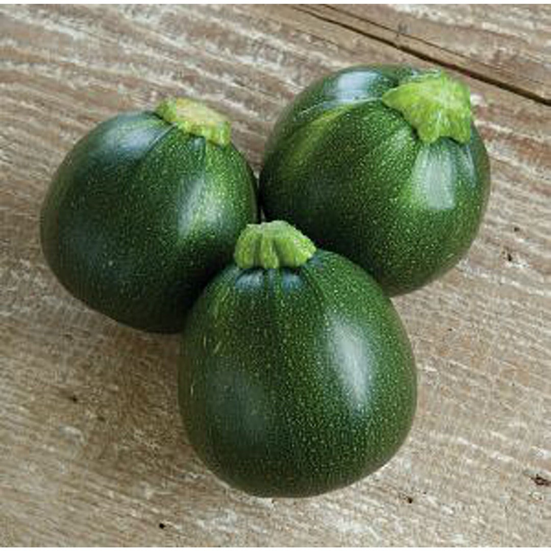 Eight Ball Squash Seeds Etsy