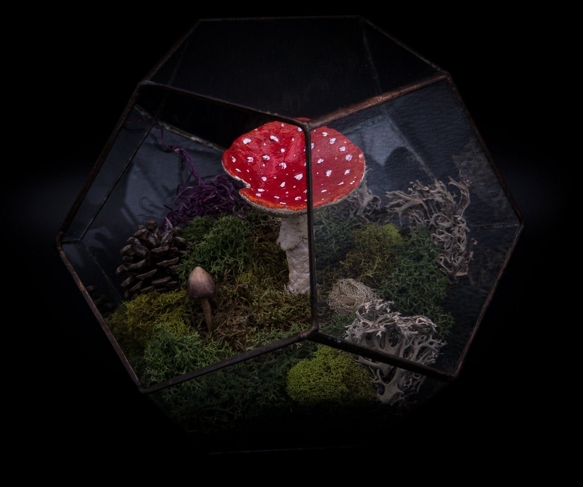 Mushroom Terrarium Preserved Moss Realistic Mushroom Etsy