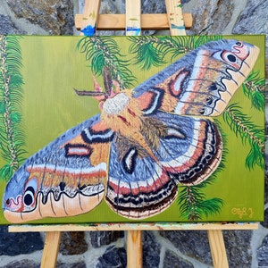 CECROPIA MOTH, 26 &quot;x18&quot;, Dipinto acrilico su tela, baco da seta, originale, arte murale, fauna selvatica, animale, decorazione murale della stanza, asilo nido, regalo ragazzo ragazza